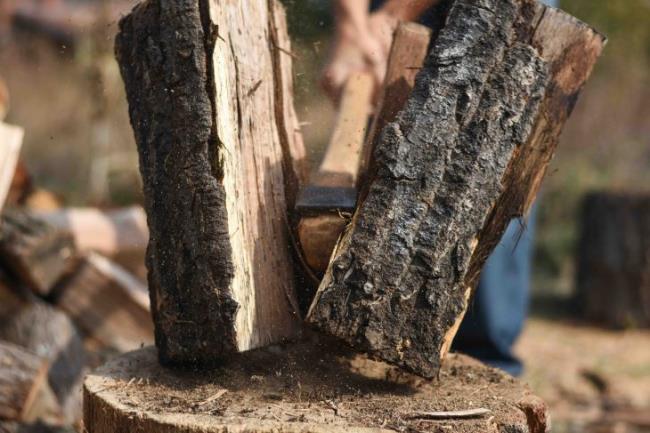 Lumberjack chopping wood for winter, Young man chopping woods with an axe