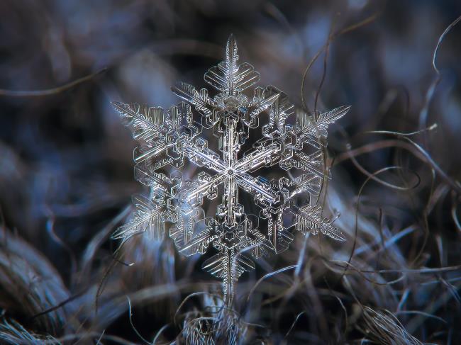 snowflake intricate pattern