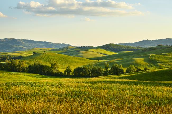 Tuscany hills