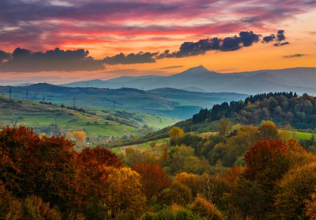 autumn forest on a mountain hill at sunset