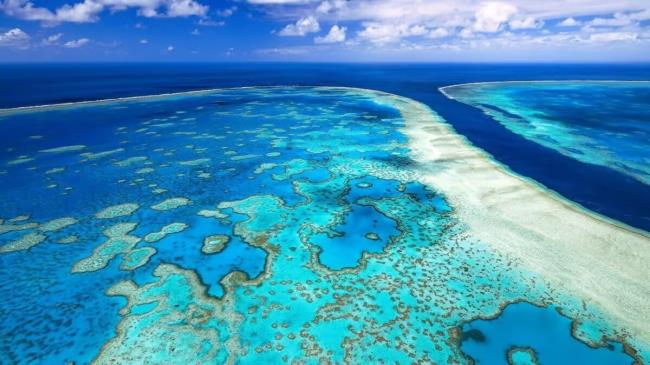 Great Barrier Reef Australia