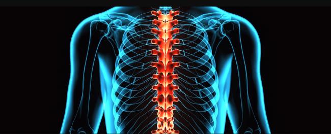 Neon Xray Spine