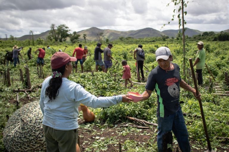 Indigenous community member Telma Macuxi offers caxiri to a community member who is helping work her land in Brazil's Amazon