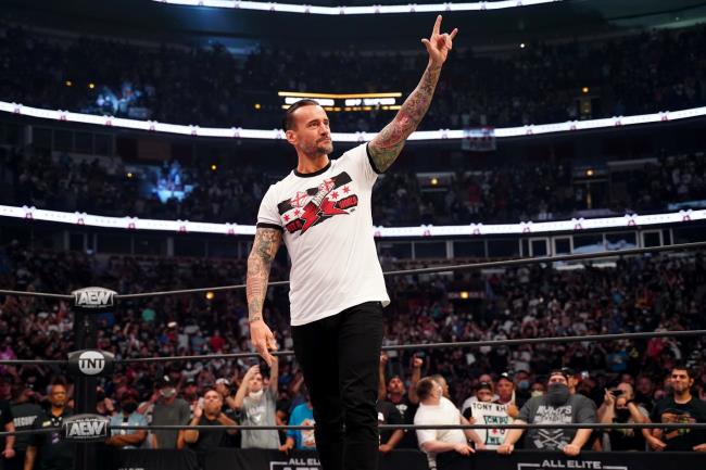 19-facts-a<em></em>bout-cm-punk