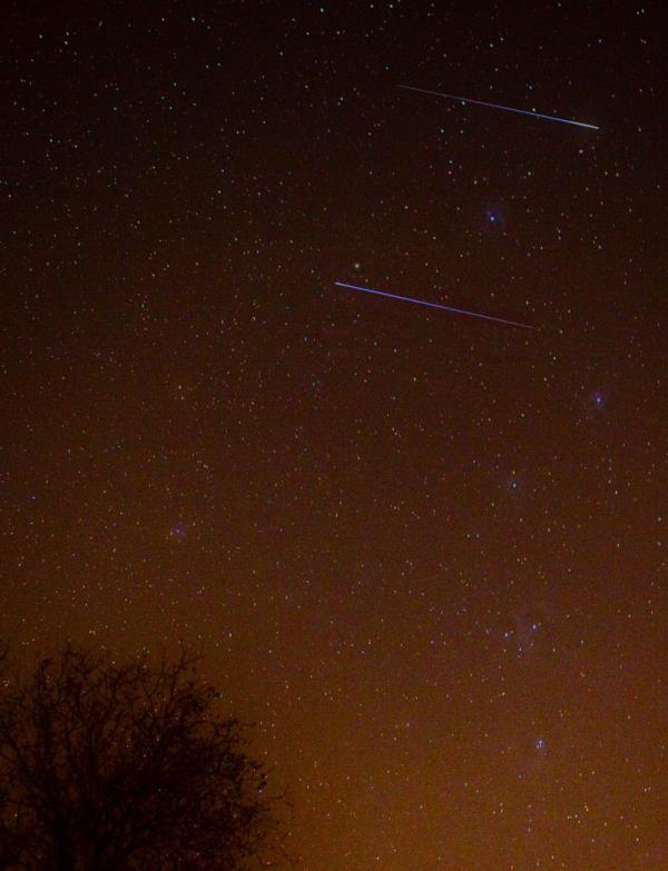 Leo<em></em>nid meteors via Henry Shaw/SummersMagic Photography.