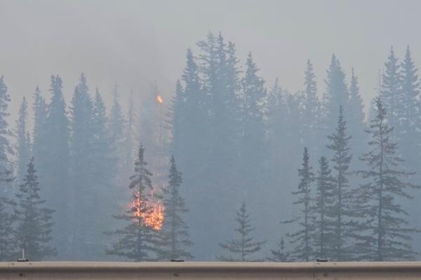 Flames and smoke from a wildfire near Jasper Natio<em></em>nal Park