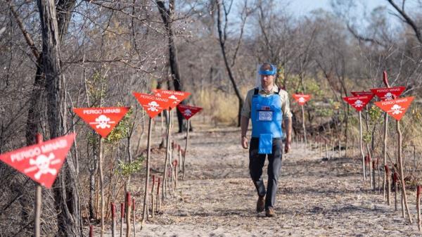 The Duke of Sussex walks through a minefield in Dirico, Angola, during a visit to see the work of landmine clearance charity the Halo Trust. Pic: PA