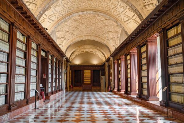 photo of wide tiled hall with high arched, carved ceilings lined with walls of ornate carved wooden shelves filled with archives