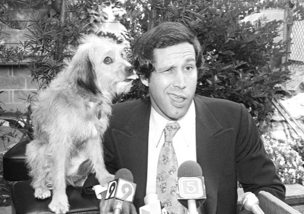 FILE - Chevy Chase gets his ear licked from co-star Benji the dog, during a news co<em></em>nference in Los Angeles announcing their movie "Oh Heavenly Dog" on Sept. 6, 1979. (AP Photo/Nick Ut, file)