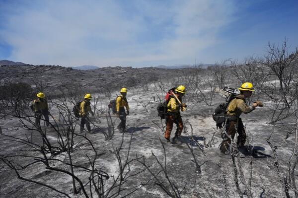 Members of Riverside County Cal Fire walk up a hillside while battling the Airport Fire Wednesday, Sept. 11, 2024, in El Cariso Village, in unincorporated Riverside, County, Calif. (AP Photo/Gregory Bull)