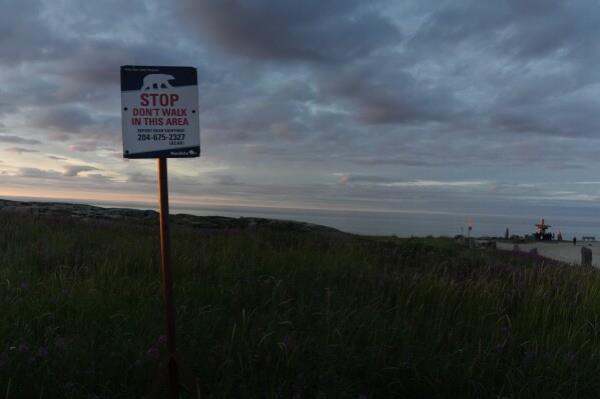 A sign a<em></em>lerts people to the potential presence of polar bears near a beach along the Hudson Bay, Sunday, Aug. 4, 2024, in Churchill, Manitoba. (AP Photo/Joshua A. Bickel)