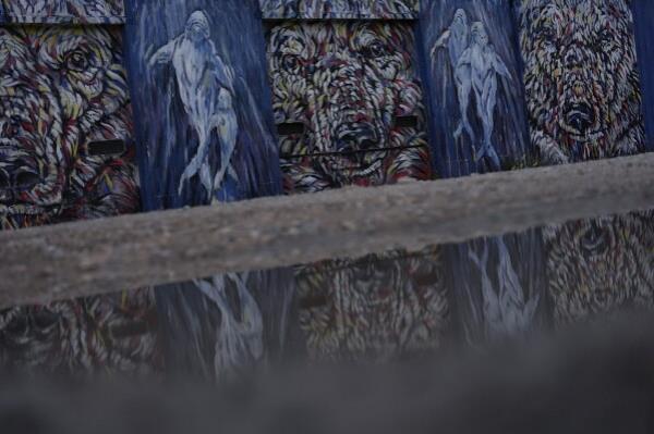 Water reflects a mural featuring polar bears and beluga whales, Monday, Aug. 5, 2024, in Churchill, Manitoba. (AP Photo/Joshua A. Bickel)