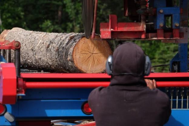 A forestry worker examines a cut log on the back of a red flat deck truck.