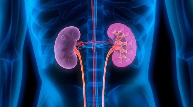 53-facts-a<em></em>bout-chronic-renal-failure-facts-net