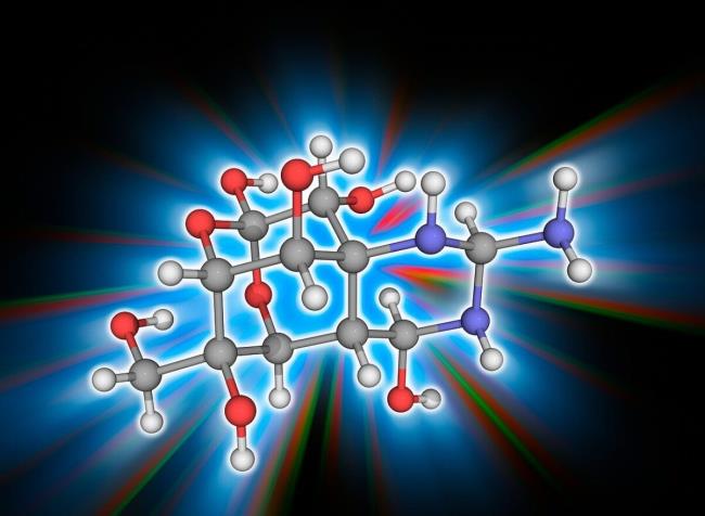 50-facts-a<em></em>bout-tetrodotoxin