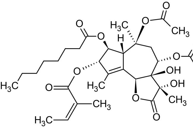 40-facts-a<em></em>bout-thapsigargin