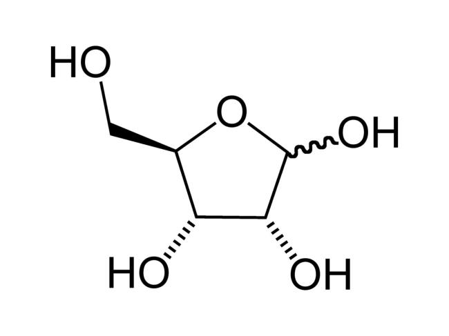 30-facts-a<em></em>bout-ribofuranose-ribose