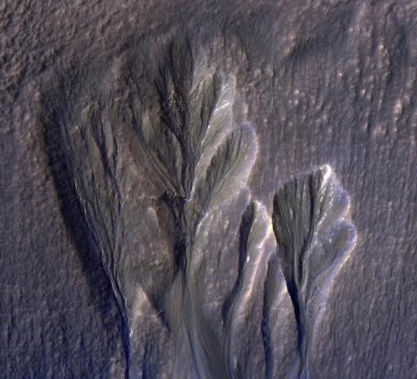 Life on Mars: Long fan-shaped gullies carved into gray rocky terrain, seen from above.