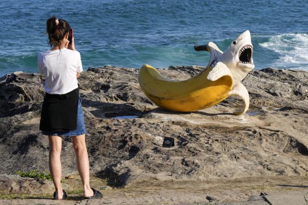 A woman photographs artwork from the “Sculpture by the Sea” exhibition at Bo<em></em>ndi Beach.