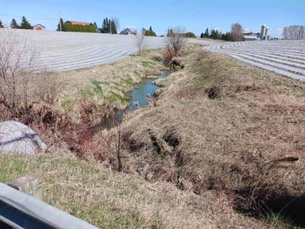 A stream with farm fields on either side. White sheets of plastic are seen on the fields.