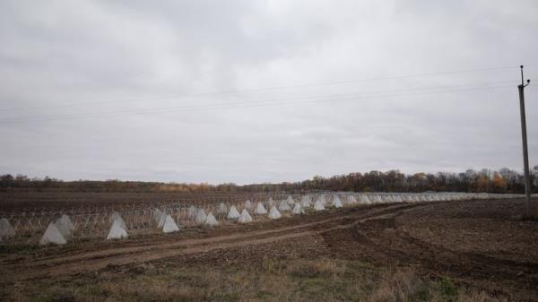 Tank traps in the Sumy region