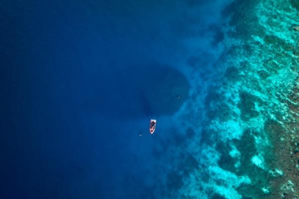 This handout photo taken by Natio<em></em>nal Geographic Pristine Seas on October 24, 2024, and released on November 14, shows a dive boat sailing over the world's largest coral located near the Pacific's Solomon Islands. - Scientists say they have found the world's largest coral near the Pacific's Solomon Islands, announcing on November 14, a major discovery 