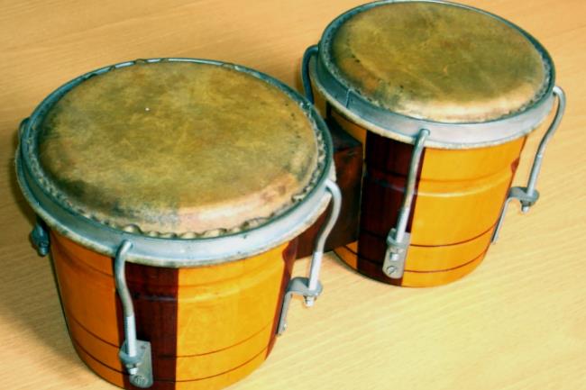 23-facts-a<em></em>bout-bongo-drums