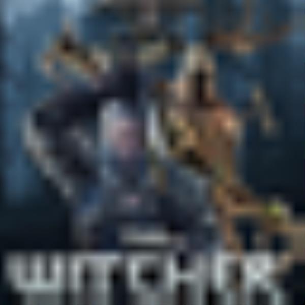 The Witcher