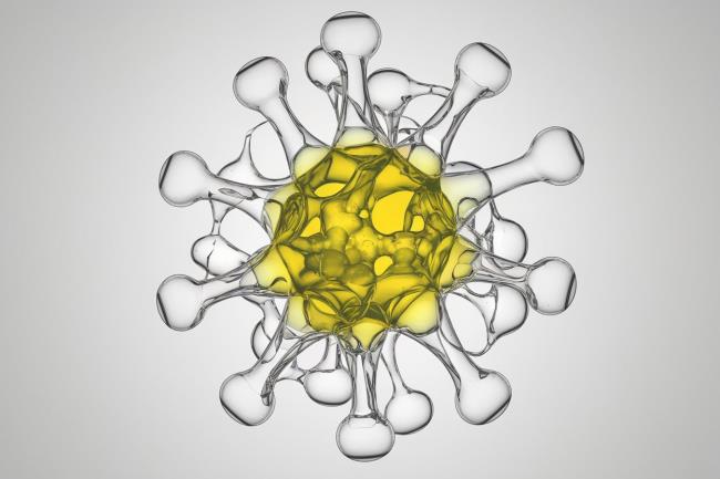 30-facts-a<em></em>bout-malonyl-coa-decarboxylase-deficiency