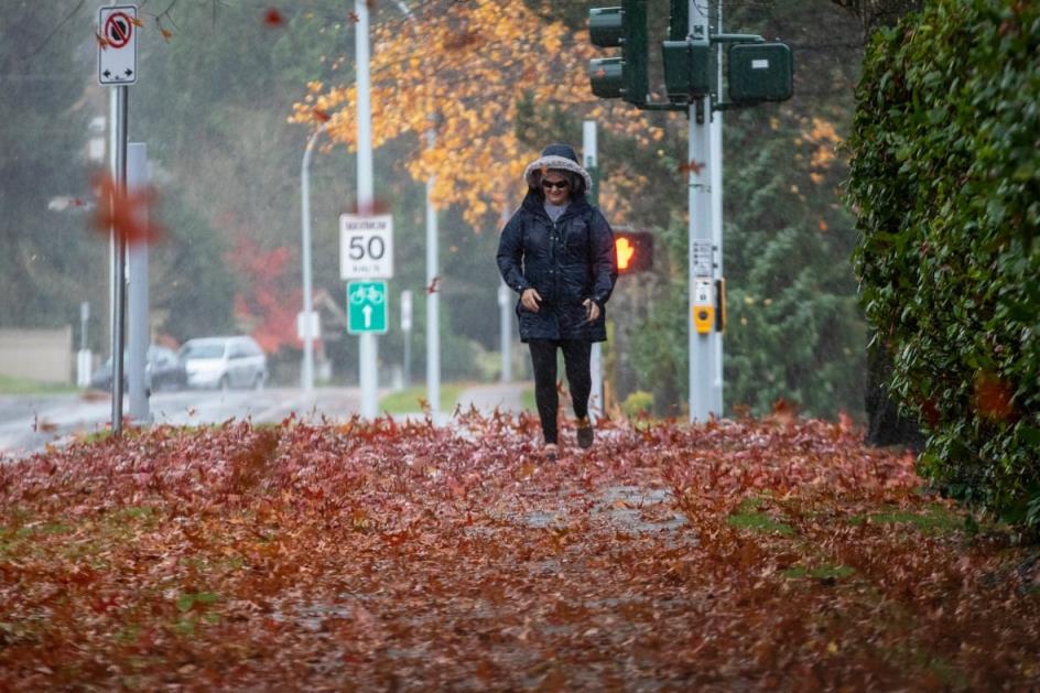 A woman walks past a pavement littered with leaves, as more leaves are blown by the wind and rain.