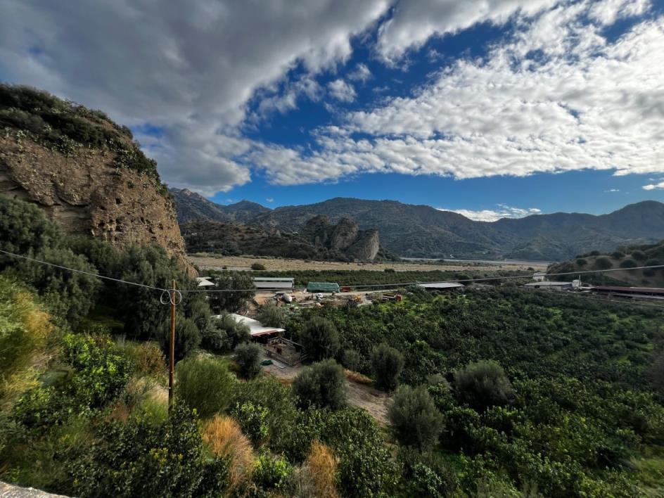 Land wher<em></em>e bergamot grows in southern Italy. 