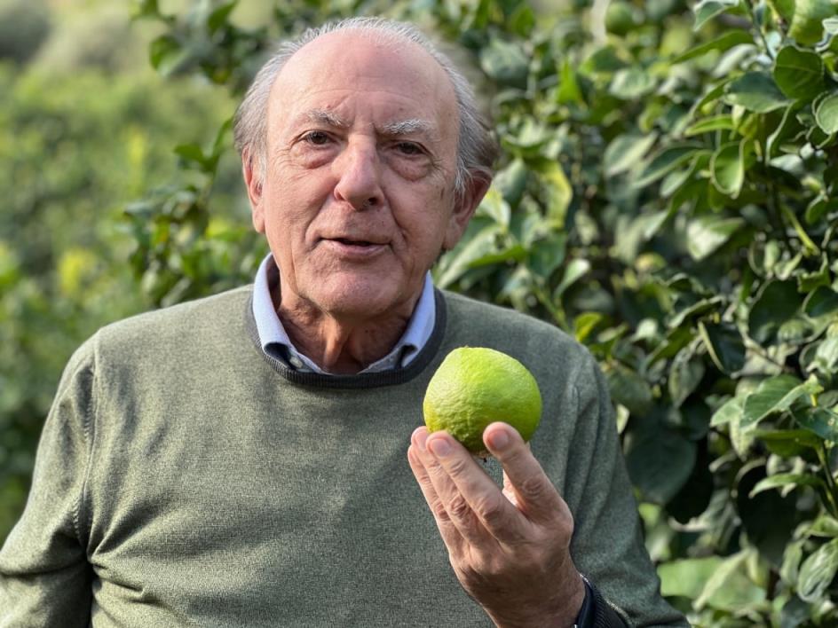 A man holds a bergamot fruit.