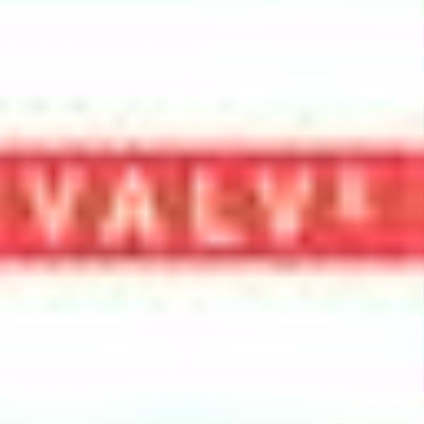 Valve