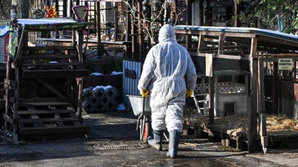 Staff in protective suits were seen at an animal park near Berlin. Pic: AP