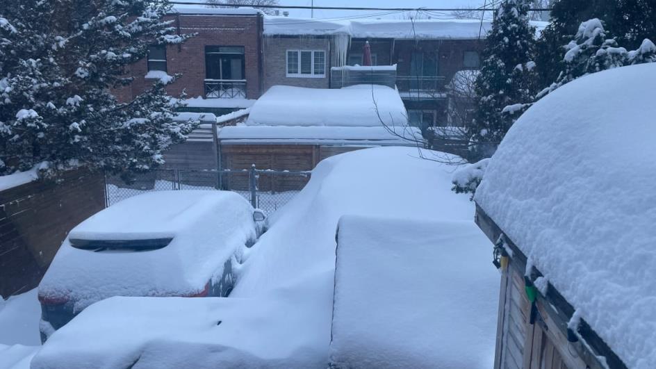 Snow piles up in a backyard.