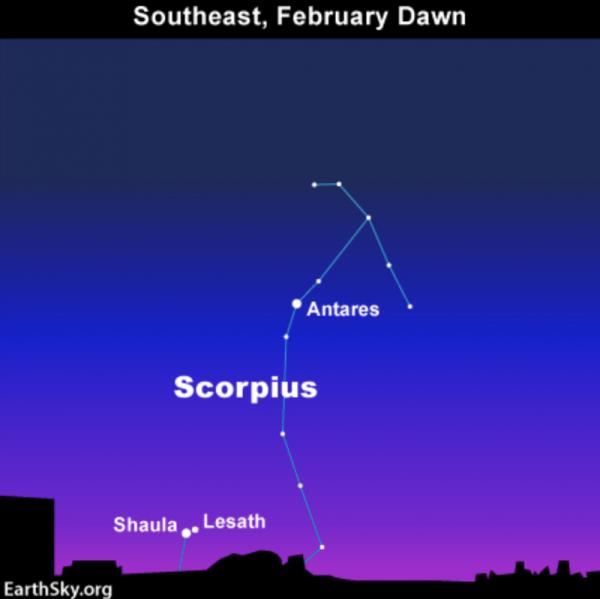 Star chart showing stars Shaula and Lesath in the Tail of co<em></em>nstellation Scorpius.