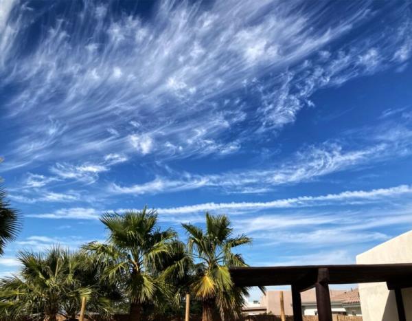 Blue sky and high, wispy white clouds over palm trees.