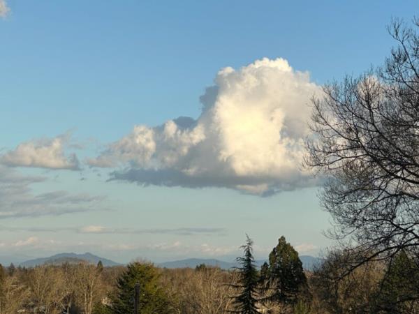 A white puffy cloud with some winter trees and distant mountains.